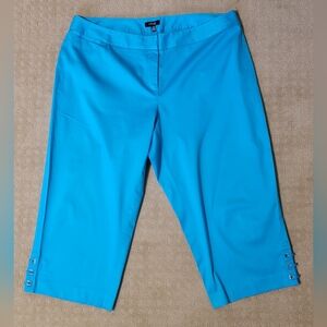 Rafaella Womens Aqua Blue Capri Pants, Size 18W, Accents On Legs